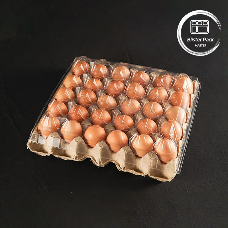 20/24/30 Cell PET Clear Plastic Egg Blister Tray กระปุกไข่พลาสติก