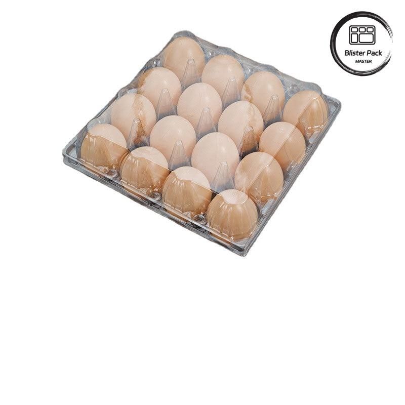 20/24/30 Cell PET Clear Plastic Egg Blister Tray กระปุกไข่พลาสติก
