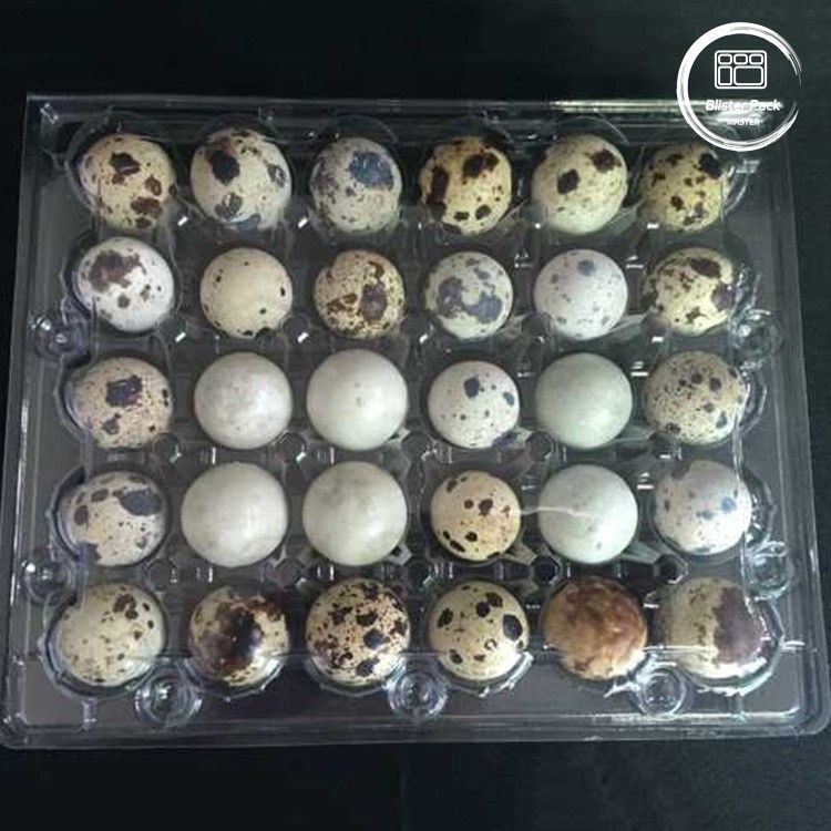 ตู้กระจกไข่ปลาปลาปลาใส พร้อม 30 หลุม ราคาถูก บรรจุไข่จํานวนมาก