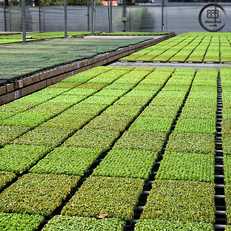 ธรณีปลูกต้นไม้สวน PS สีดํา ตรณีพืชพืชพืชพืชพืชพืชพืช 50 เซลล์